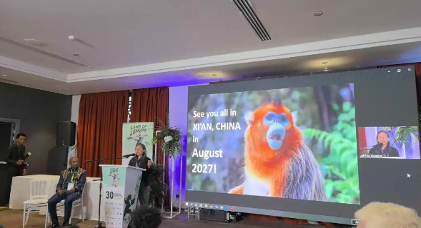 Xi'an to welcome world's primatologists, showcasing China's research progress
